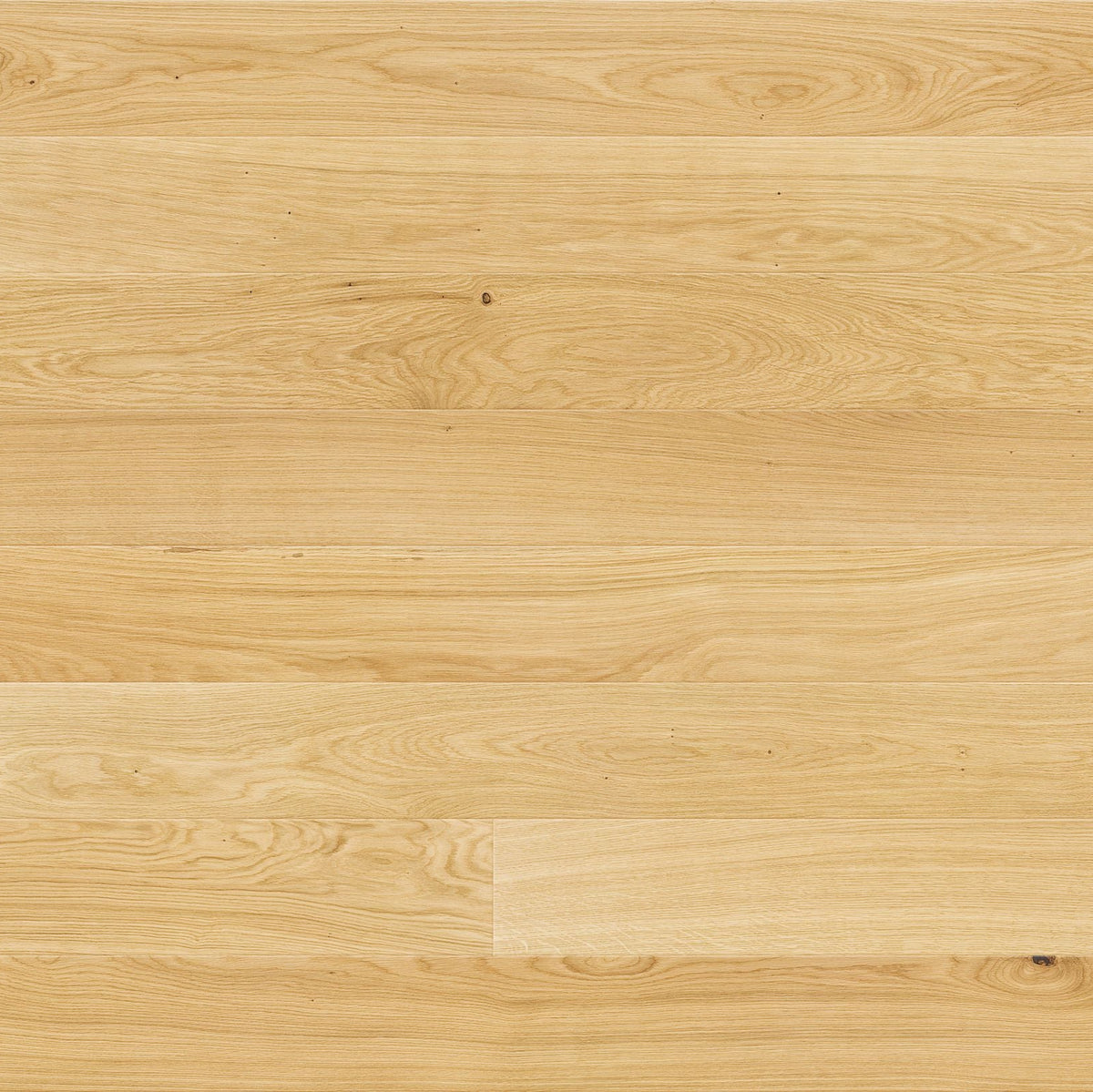 AR8424 Ashton &amp; Rose Furness (Mersey Piccolo)