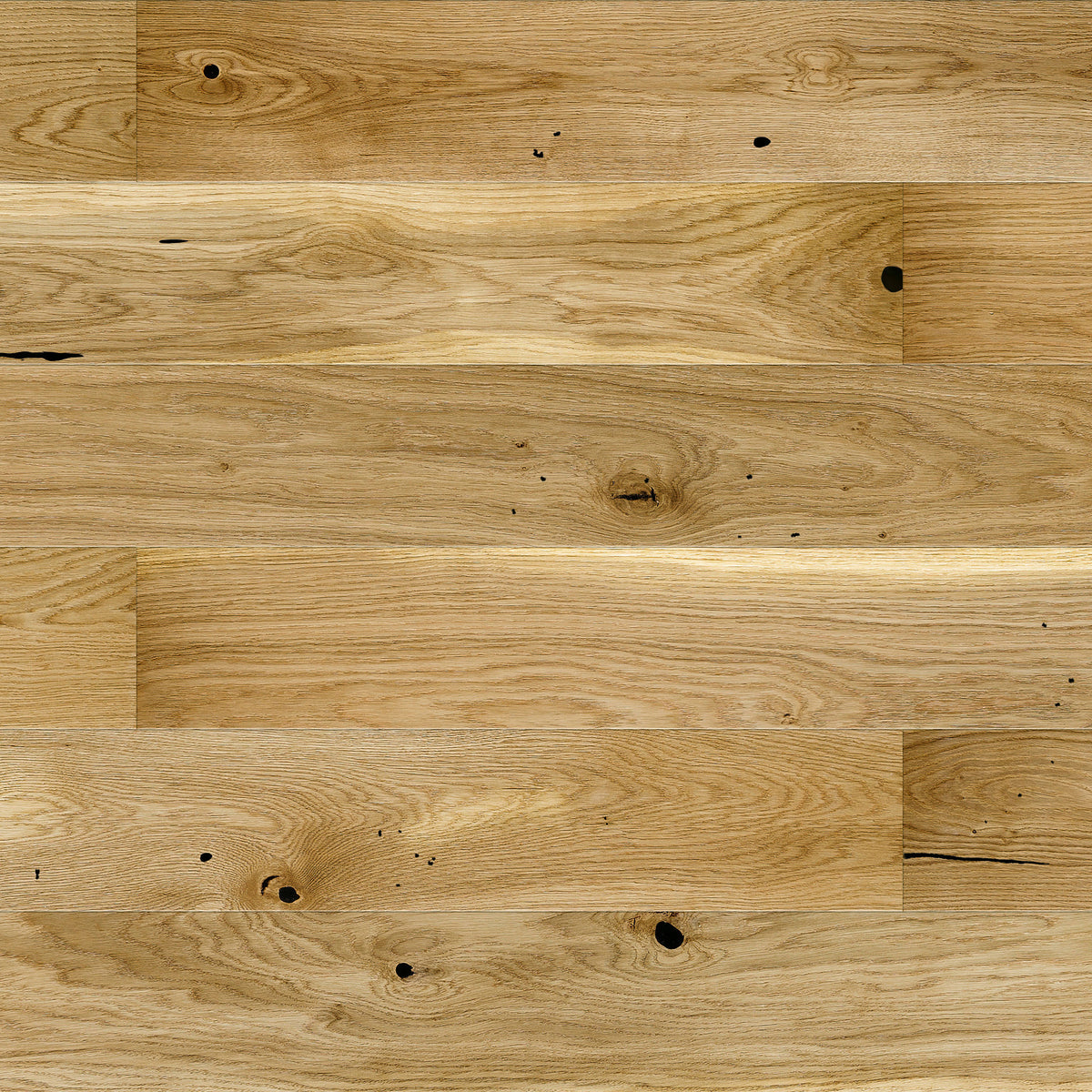 AR8477 Ashton &amp; Rose Hetton (Conchi Grande)