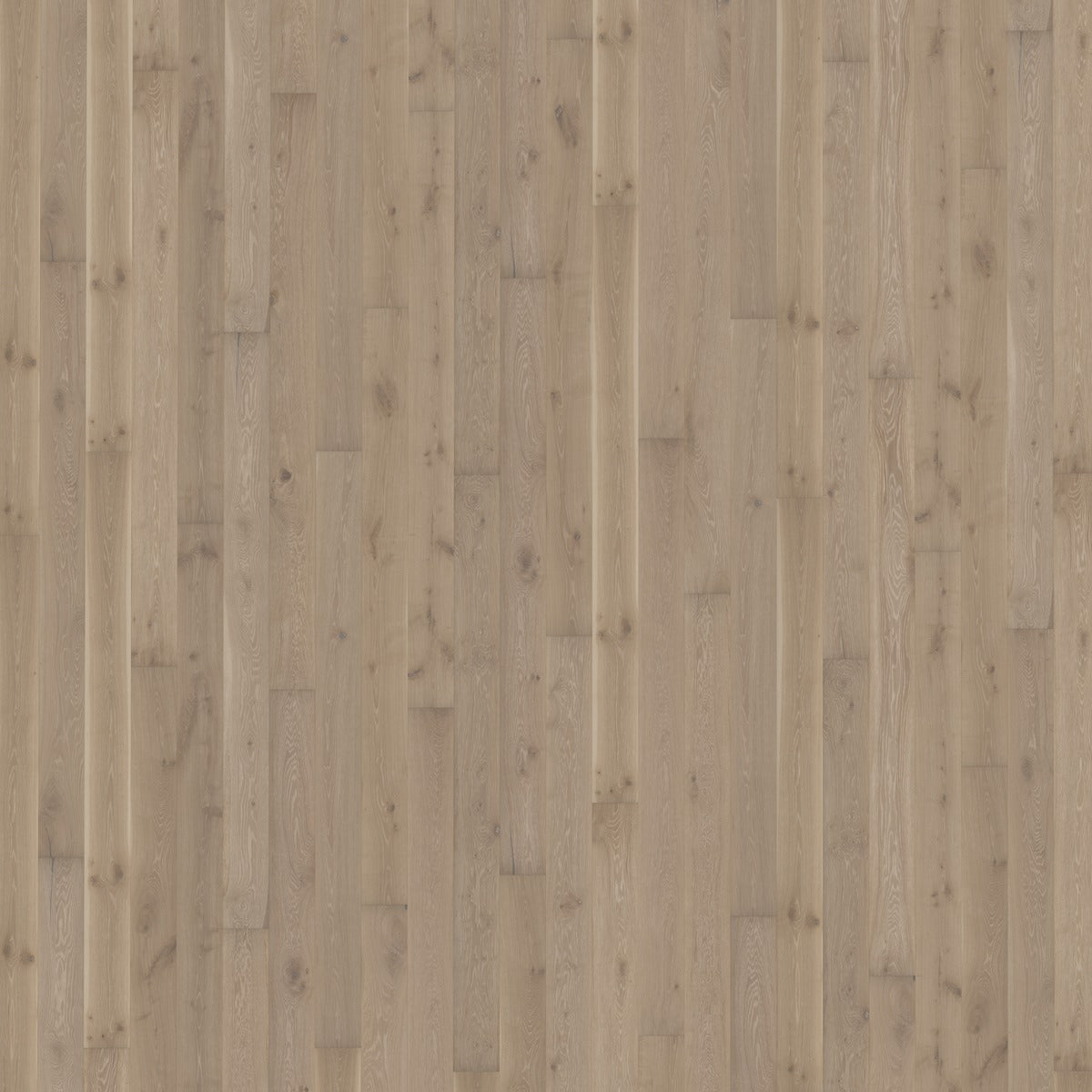 Kahrs Oak Nouveau Gray Free Sample (5604303863965)