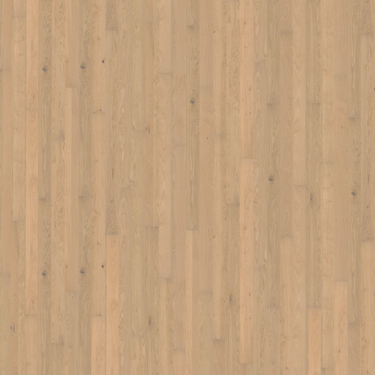 Kahrs Oak Brighton Free Sample (5597153132701)