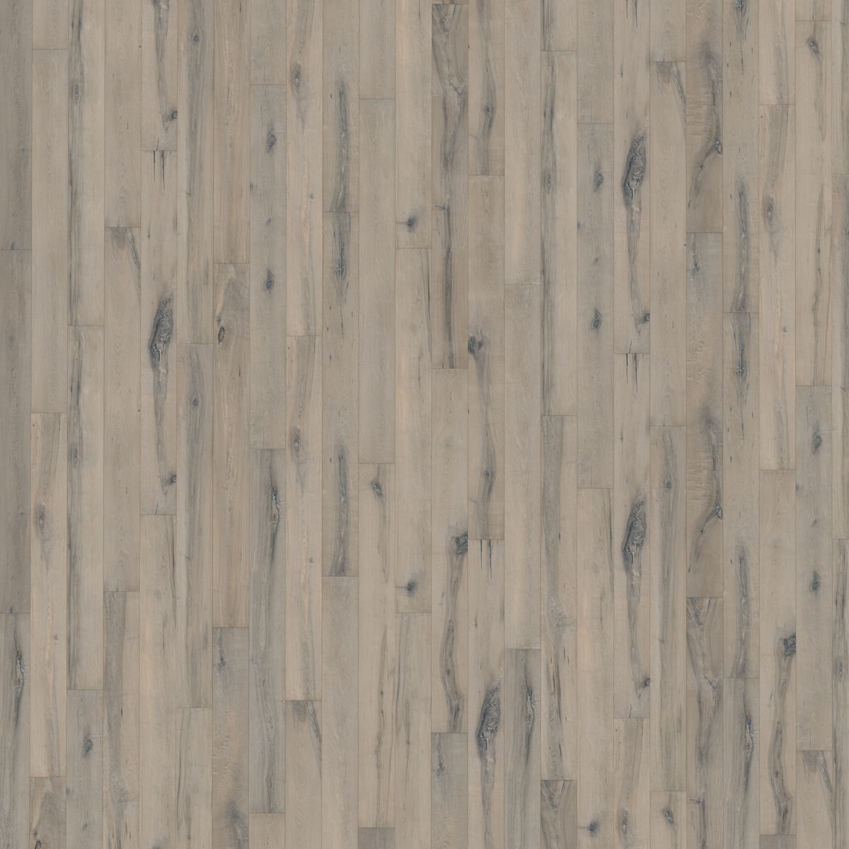 Kahrs Maple Nebbia Free Sample (5597118398621)