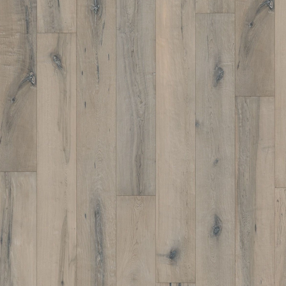 Kahrs Maple Nebbia Free Sample (5597118398621)