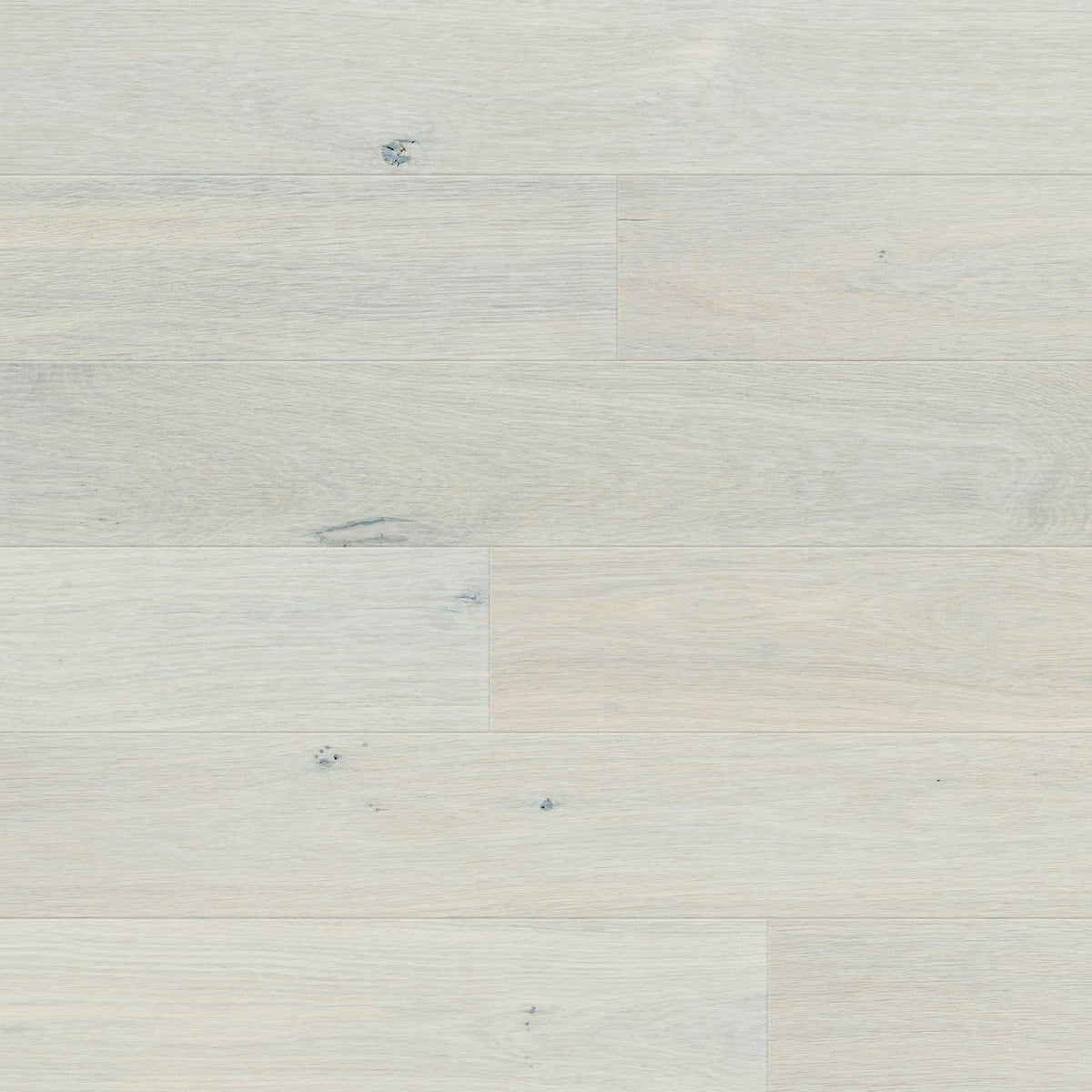 AR8410 Ashton &amp; Rose Dalton (5351828160669)