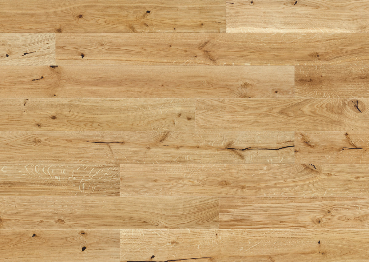 AR8488 Ashton &amp; Rose Layton Free Sample