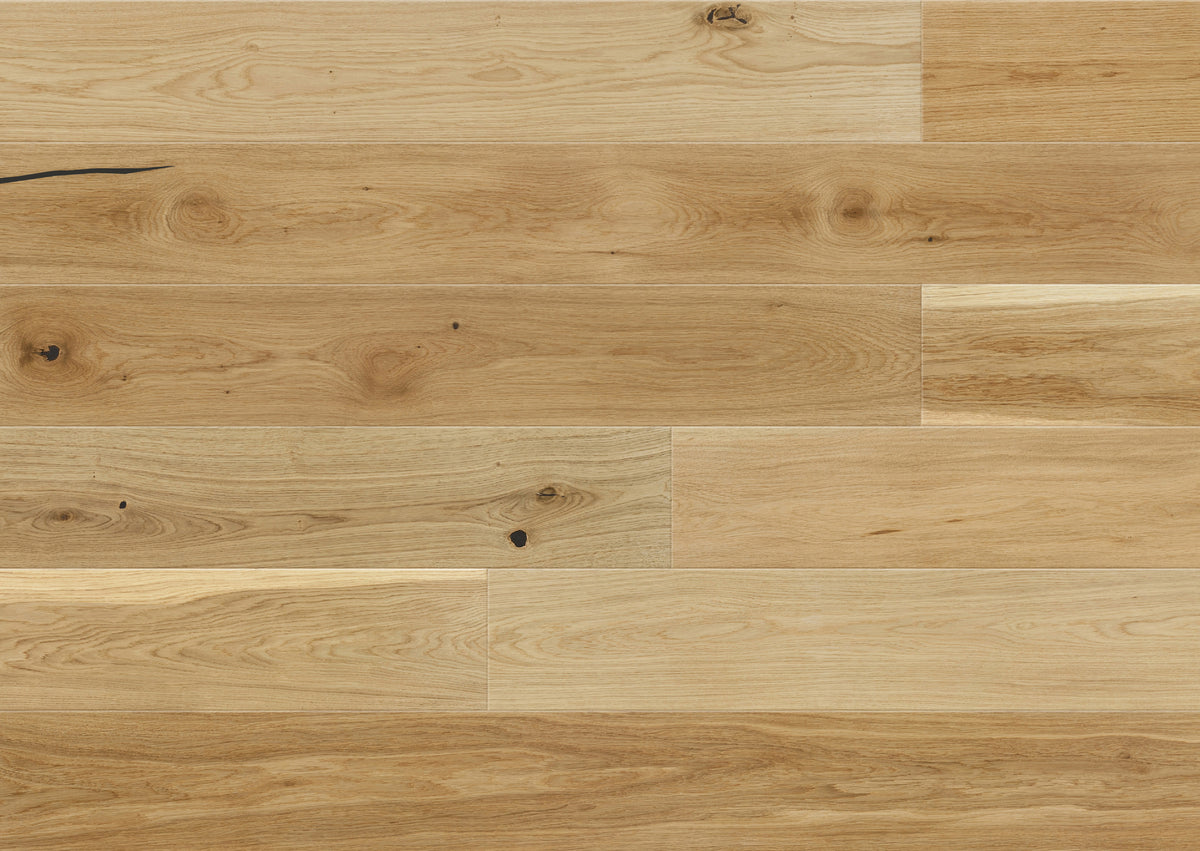 AR8494 Ashton &amp; Rose Holme Free Sample