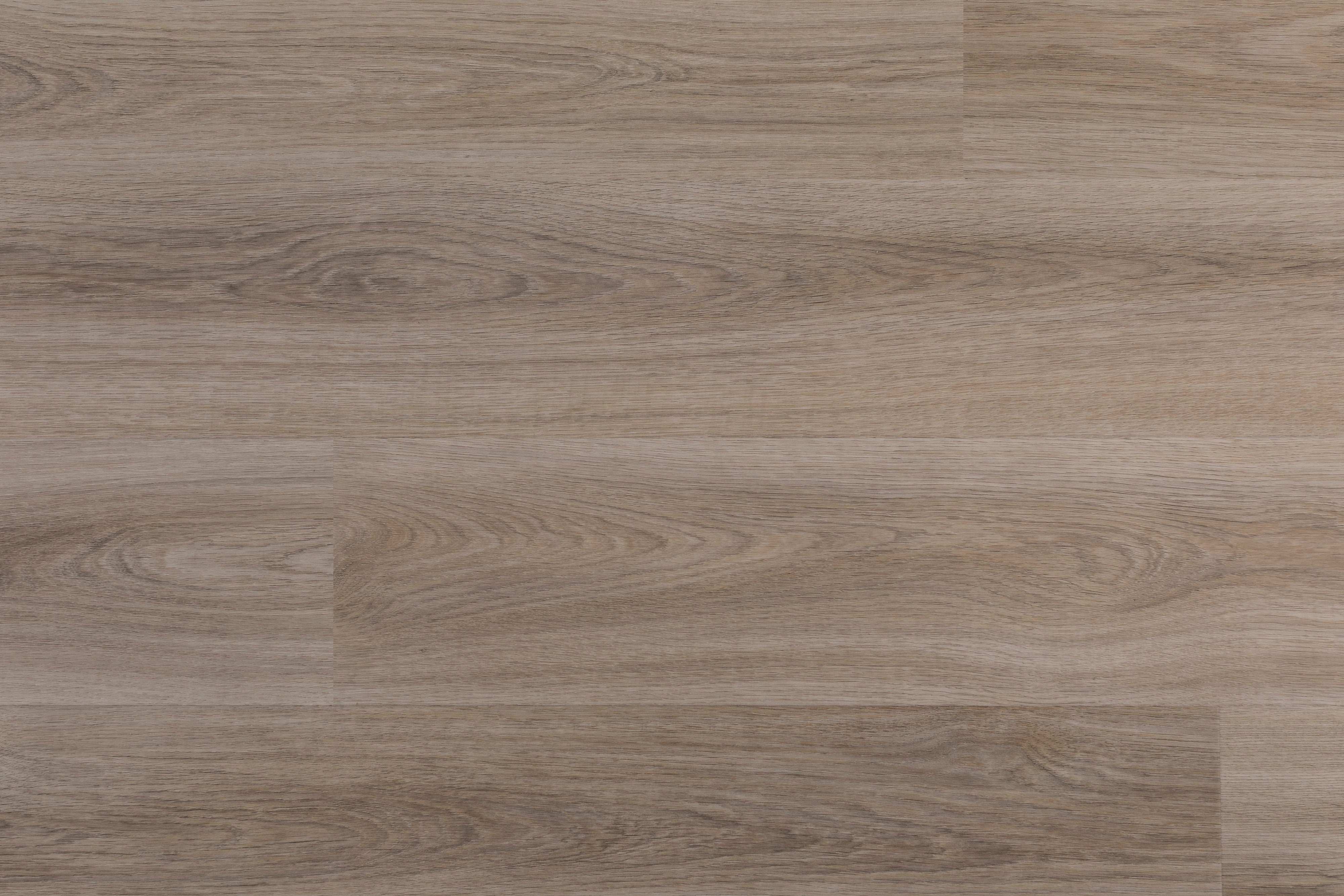 Arctic Light EasyFit Free Sample