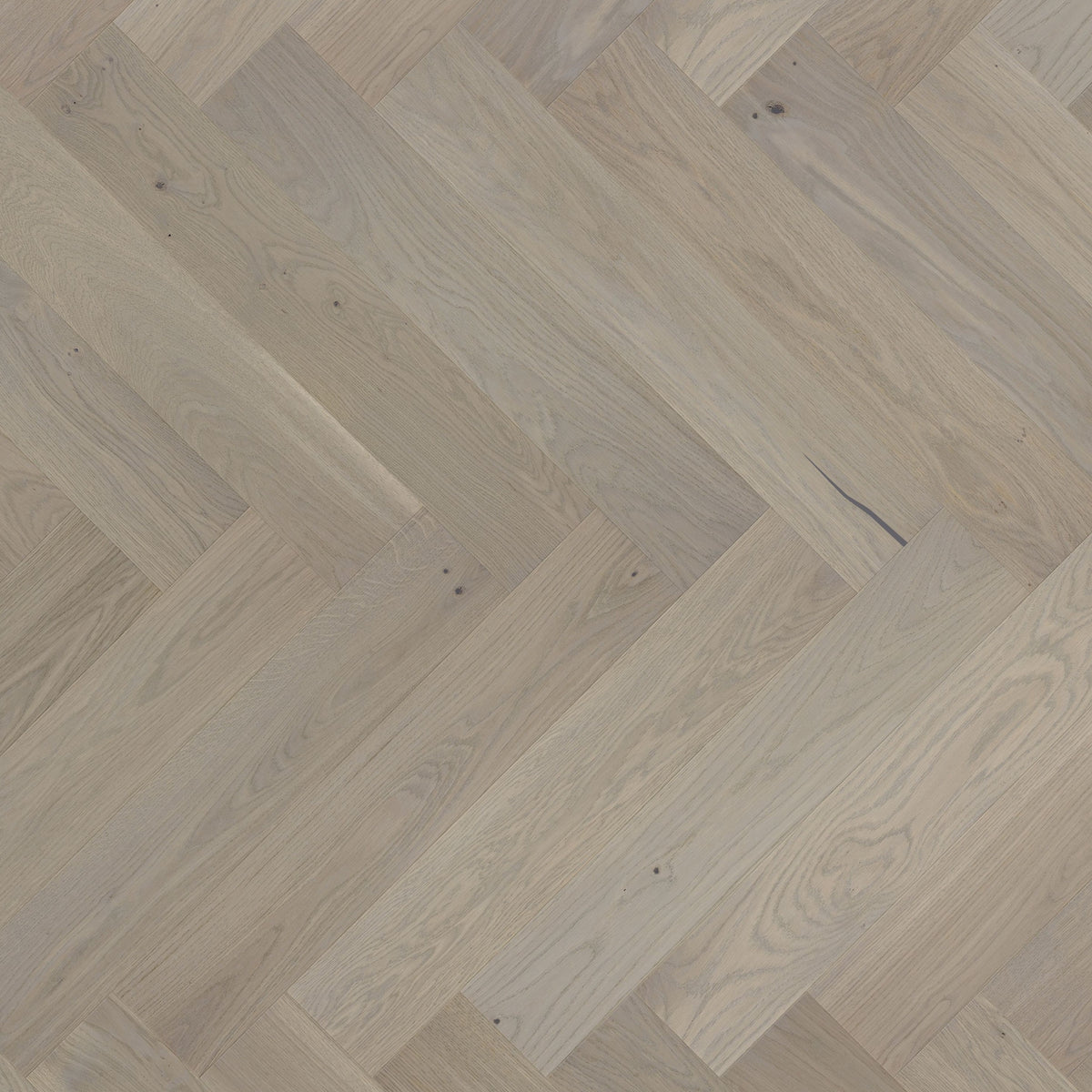 AR8448 Ashton &amp; Rose Gillow Herringbone Free Sample (5735267664029)