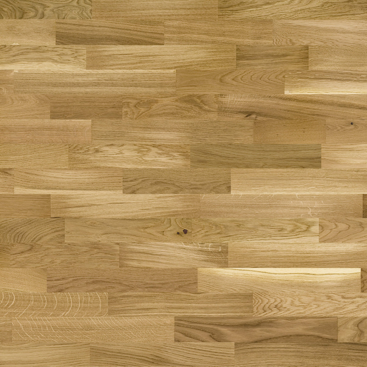 AR8440 Ashton &amp; Rose Lupton Free Sample (5734989070493)