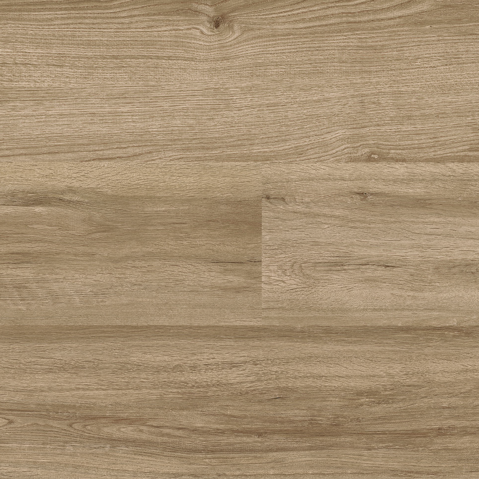 Bergerac Free Sample (5596811264157)