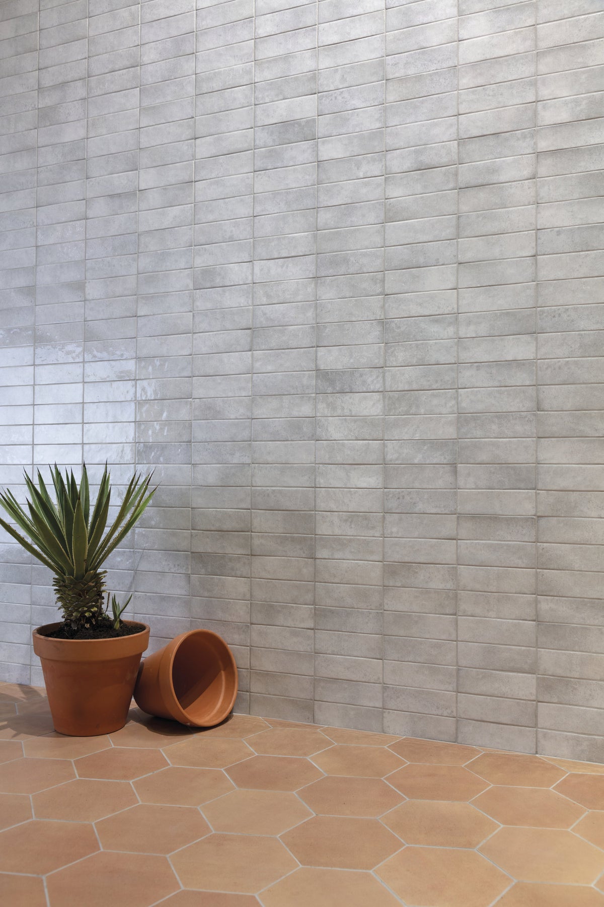 Siena White (5851446247581)