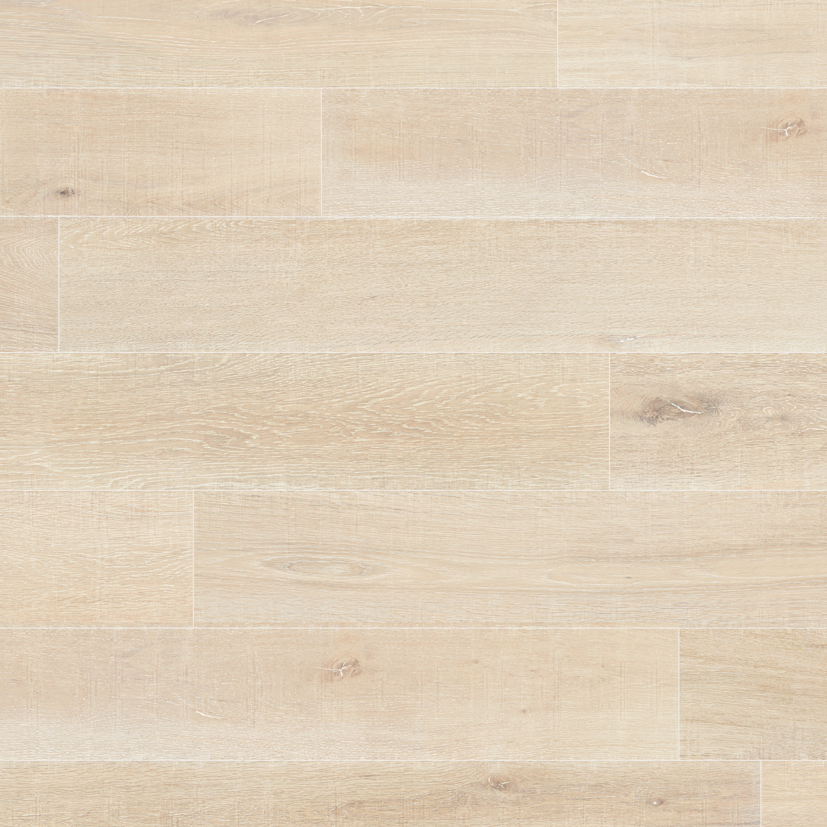 Ferentillo Free Sample (5601451114653)