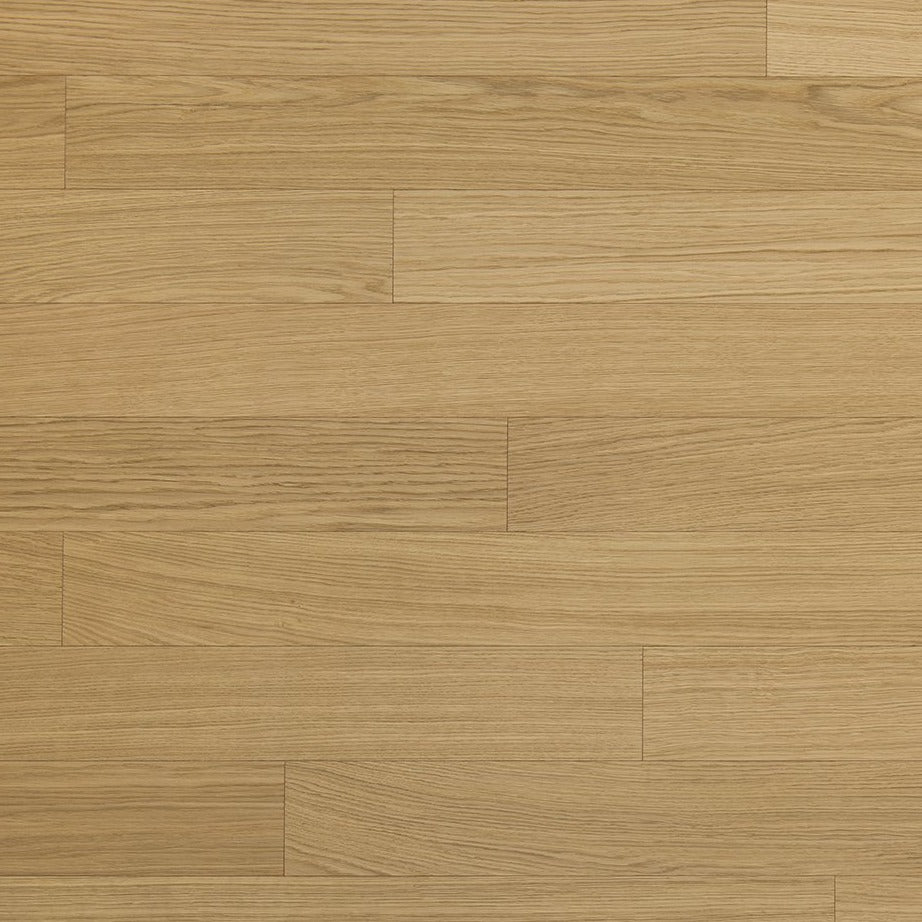 Parky Deluxe European Oak Premium Free Sample (5721429147805)