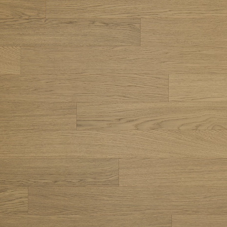 Parky Pro Umber Oak Premium Free Sample (5604976820381)