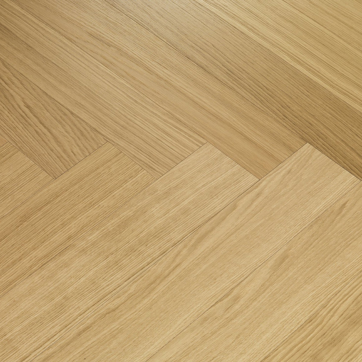 Parky Swing European Oak Free Sample (5605003526301)