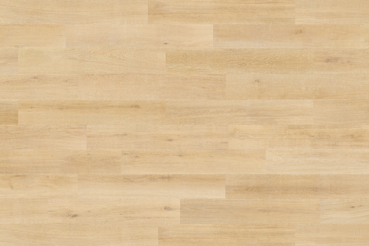 Loreno Free Sample (5850949353629)