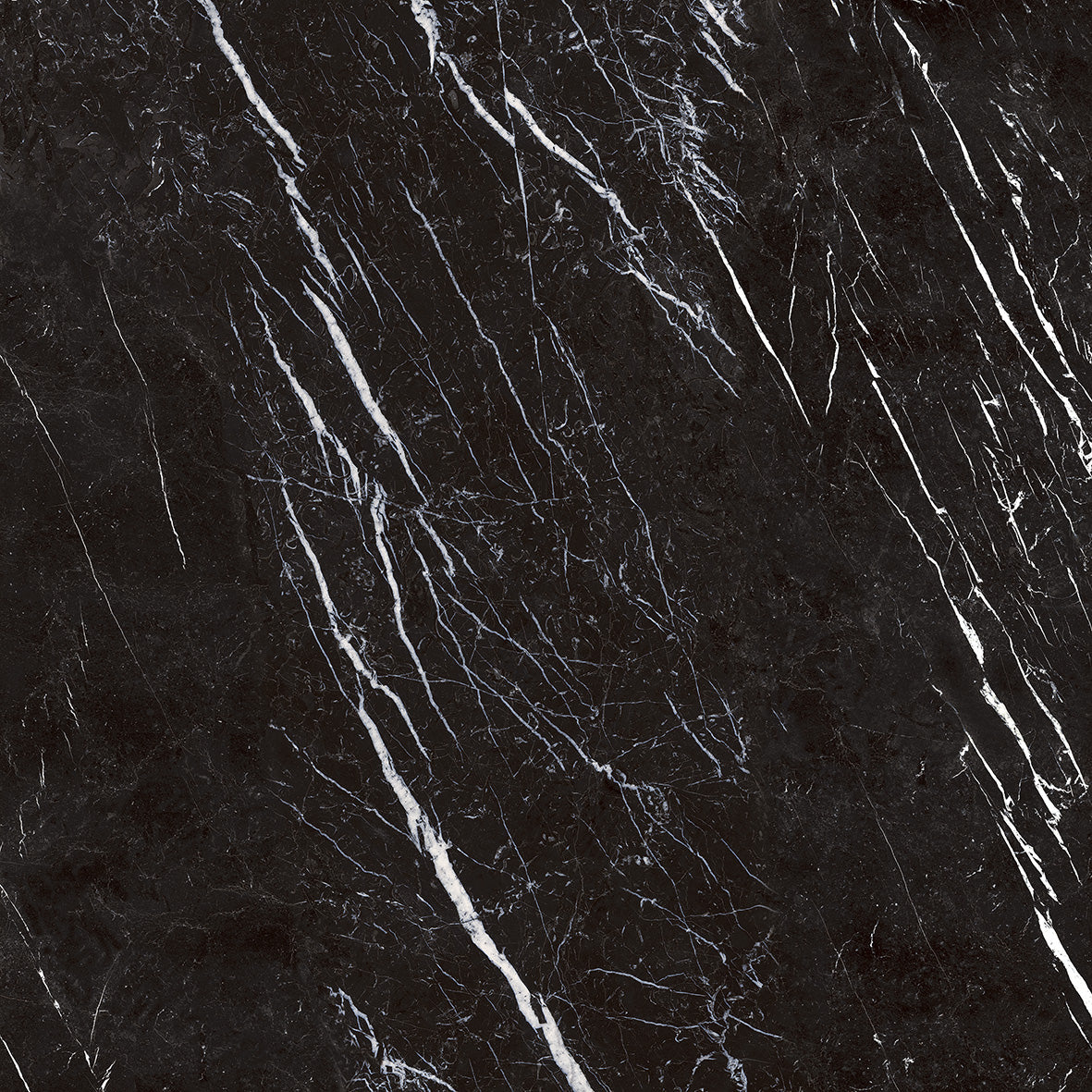 Mandra Black Polished Free Sample (5604621844637)