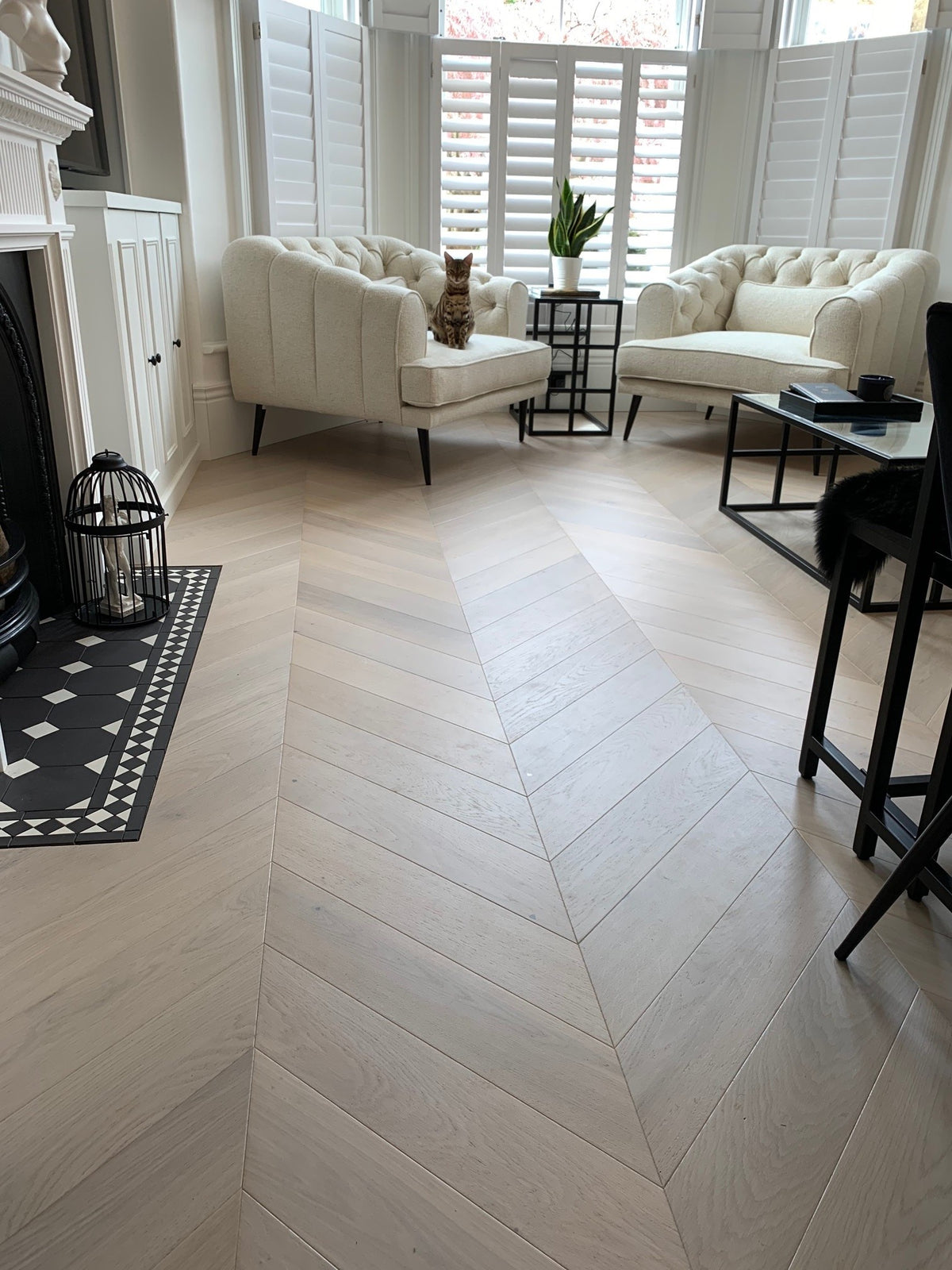 AR8458 Ashton &amp; Rose Dalton Chevron Free Sample (Cappuccino Oak)