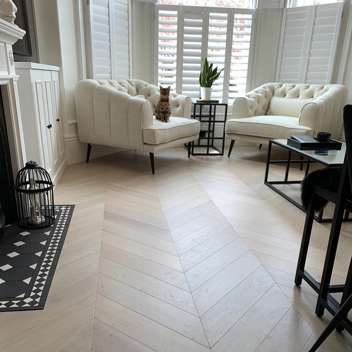 AR8458 Ashton &amp; Rose Dalton Chevron Free Sample (Cappuccino Oak)