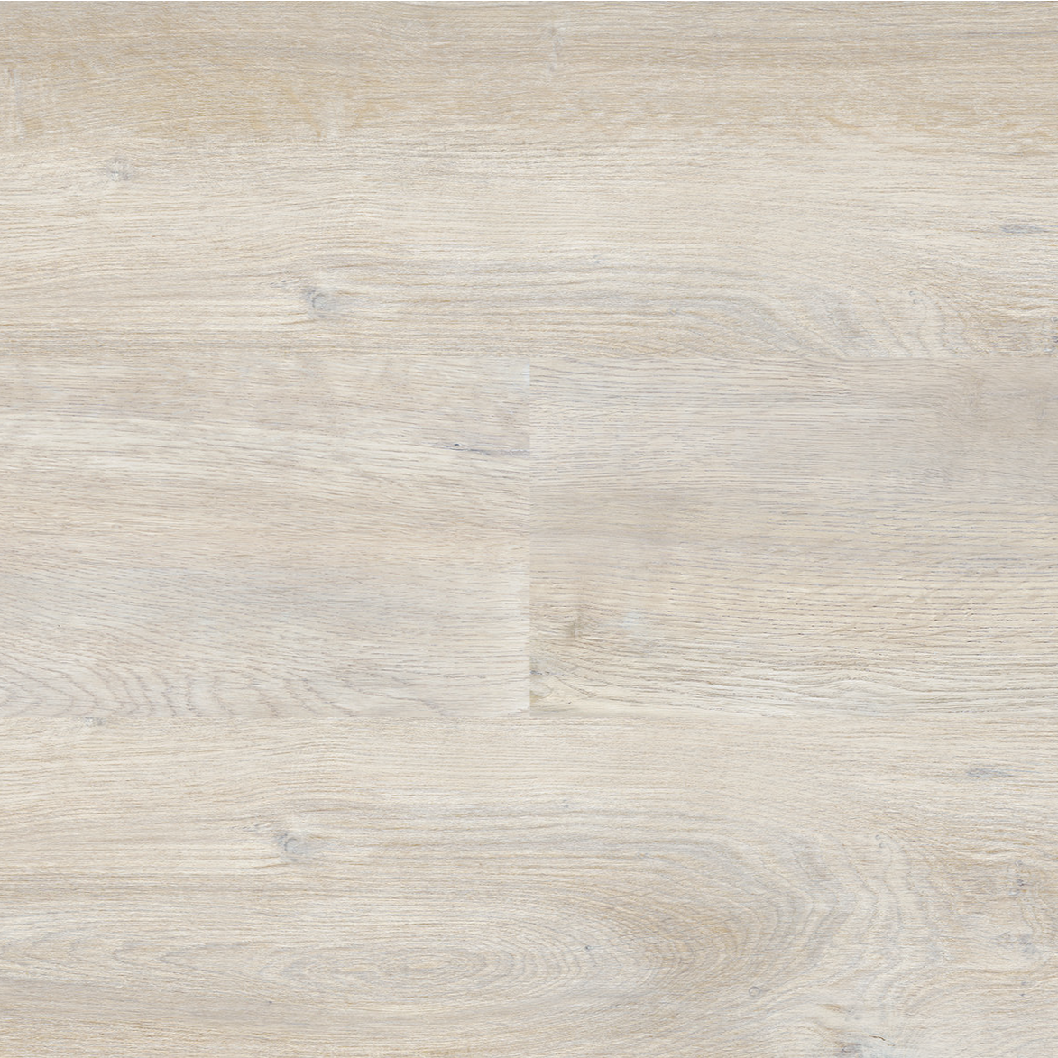 Roanne Free Sample (5605662326941)